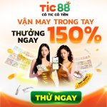 photo_2025-11-09 14.41.18.jpeg