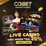 photo_2025-11-17 10.12.53.jpeg